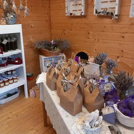 Çiftlik konaklama Azienda Agrituristica La Borgaccia