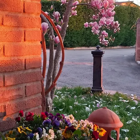 Azienda Agrituristica La Borgaccia 팜스테이 Baiso