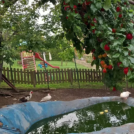 Azienda Agrituristica La Borgaccia 팜스테이 Baiso