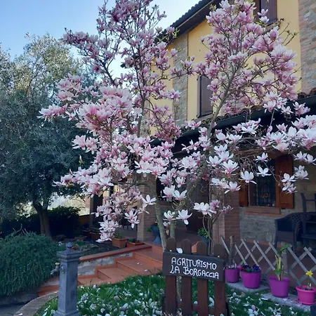 팜스테이 Azienda Agrituristica La Borgaccia Baiso