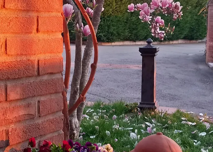 Azienda Agrituristica La Borgaccia Lantgård Baiso