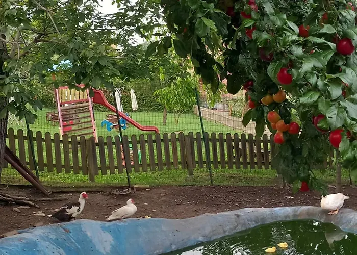 Azienda Agrituristica La Borgaccia Lantgård Baiso