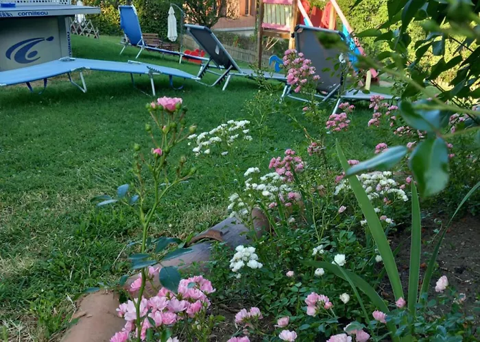 Azienda Agrituristica La Borgaccia Lantgård *