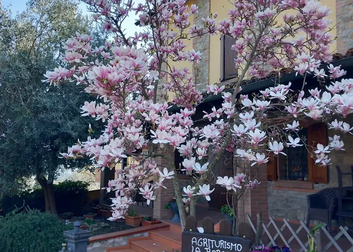 Feriegård Azienda Agrituristica La Borgaccia Baiso
