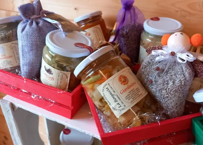 Azienda Agrituristica La Borgaccia Lantgård Baiso