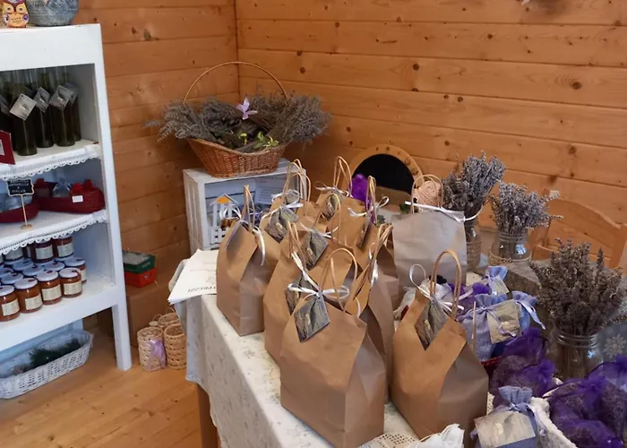 Lantgård Azienda Agrituristica La Borgaccia